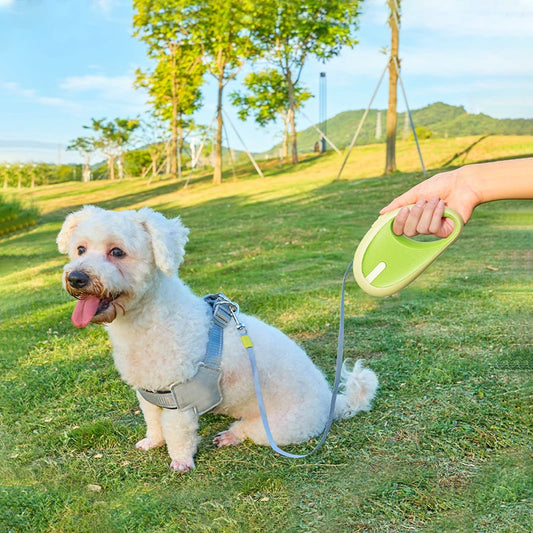 Retractable Walking Dog Leash,3M expansion/contraction