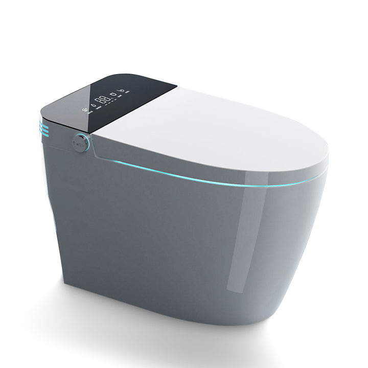 Smart Toilet with Heating Automatic Opening /Closing